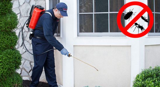 Gölbaşı Kemirgen İlaçlama böcek ilaçlama ve haşere kontrolü — ilaclama-tr.com